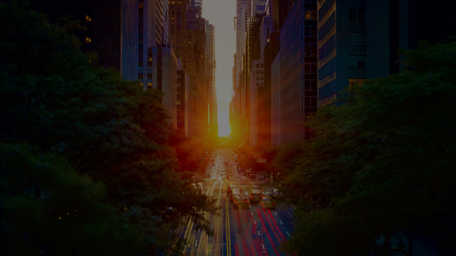 Digitize Your Dreams